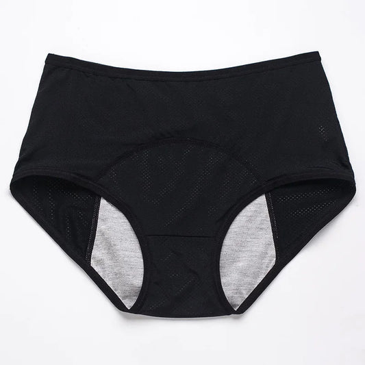 2pcs Women's Physiological Briefs Girl Menstrual Panties Ladies Period Leak Proof Panty Mid Waist Ice Silk Underwear - Chrissy's Eye