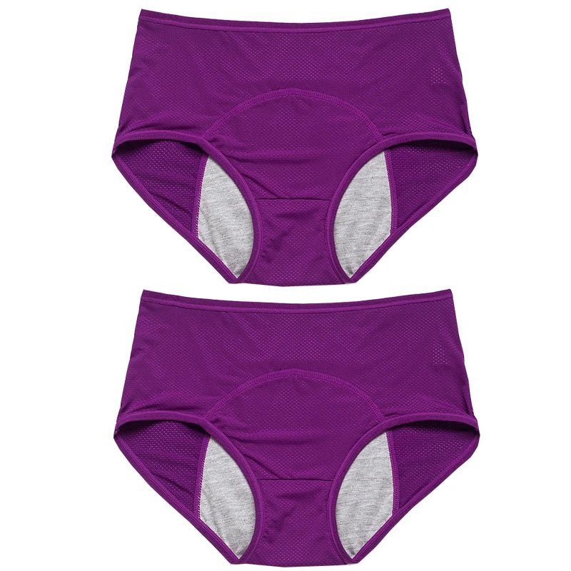 2pcs Women's Physiological Briefs Girl Menstrual Panties Ladies Period Leak Proof Panty Mid Waist Ice Silk Underwear - Chrissy's Eye