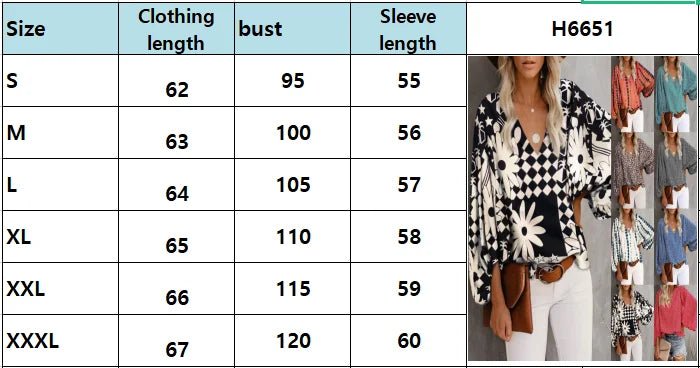 2023 New European and American Cross Boder Spring/Summer/Autumn V-neck Casual Shirt Printed Lantern Sleeve Top Women's W - Chrissy's Eye