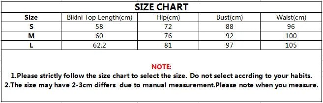 2025 New Women's Micro Bikini Set Leopard Swimsuit 2 Pcs Suit Swimwear Sexy Hollow Out Biquini One Shoulder Beach Bathing Suits - Chrissy's Eye